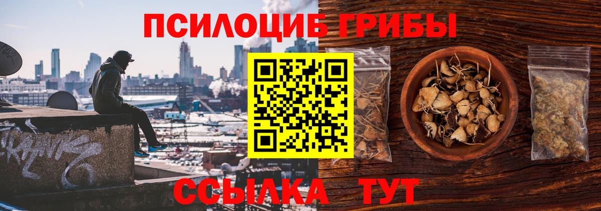 Магнитогорск  Галлюциногенные грибы GOLDEN TEACHER  Галлюциногенные грибы Cubensis  Вход с VPN 